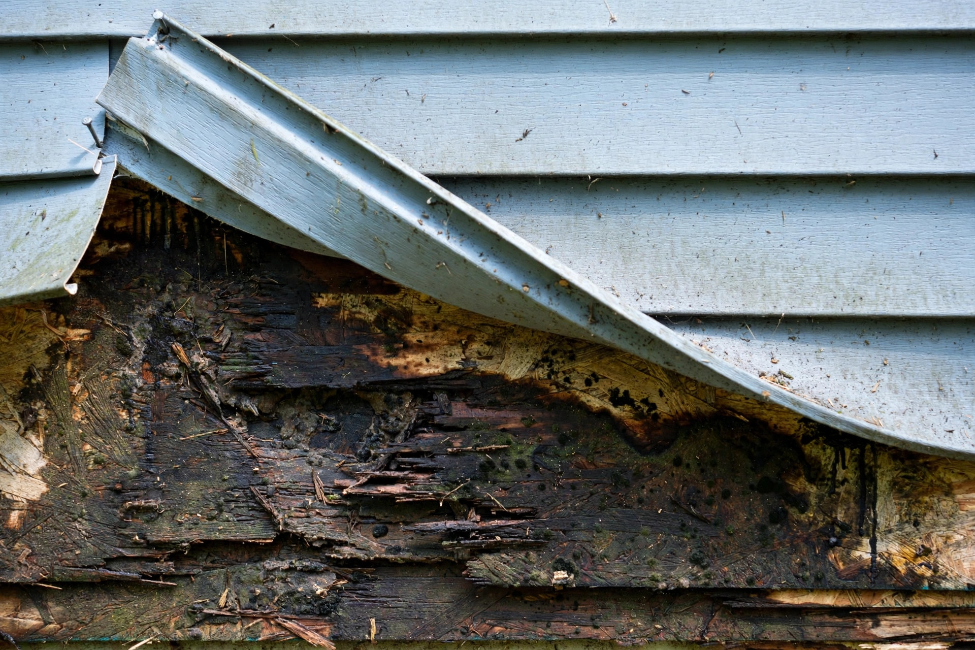 Warning Signs of Moisture Behind Your Siding